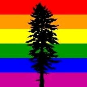 Meet your Posher, Janiece